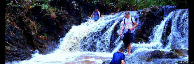 Tarzan Falls Waterslide